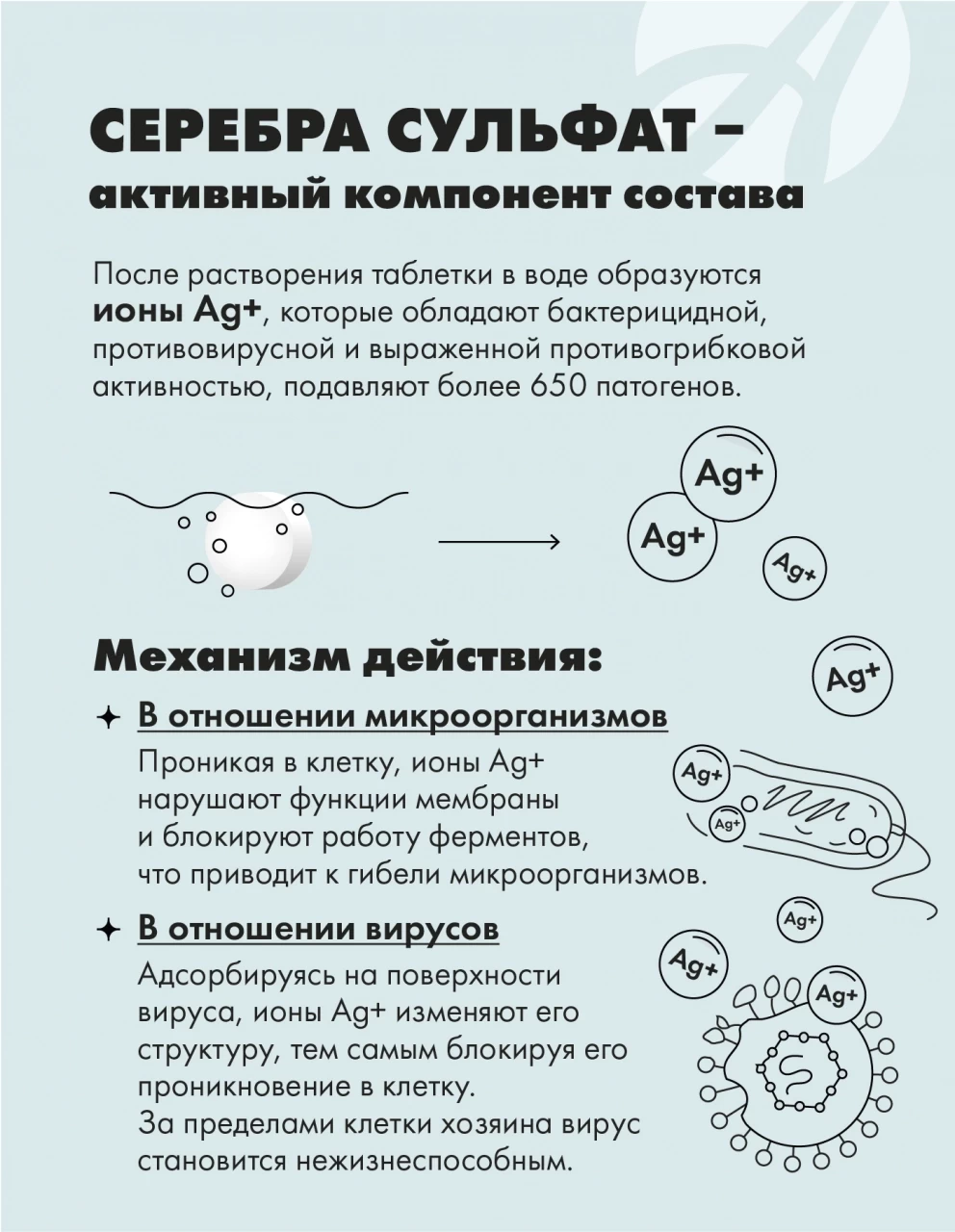 Сильвер Про (SilverPro) — изображение 8
